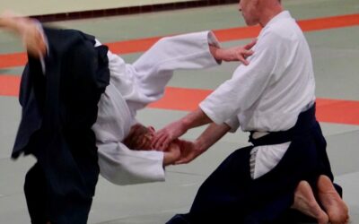 AIKIDO, TECHNICITE ET PRECISION