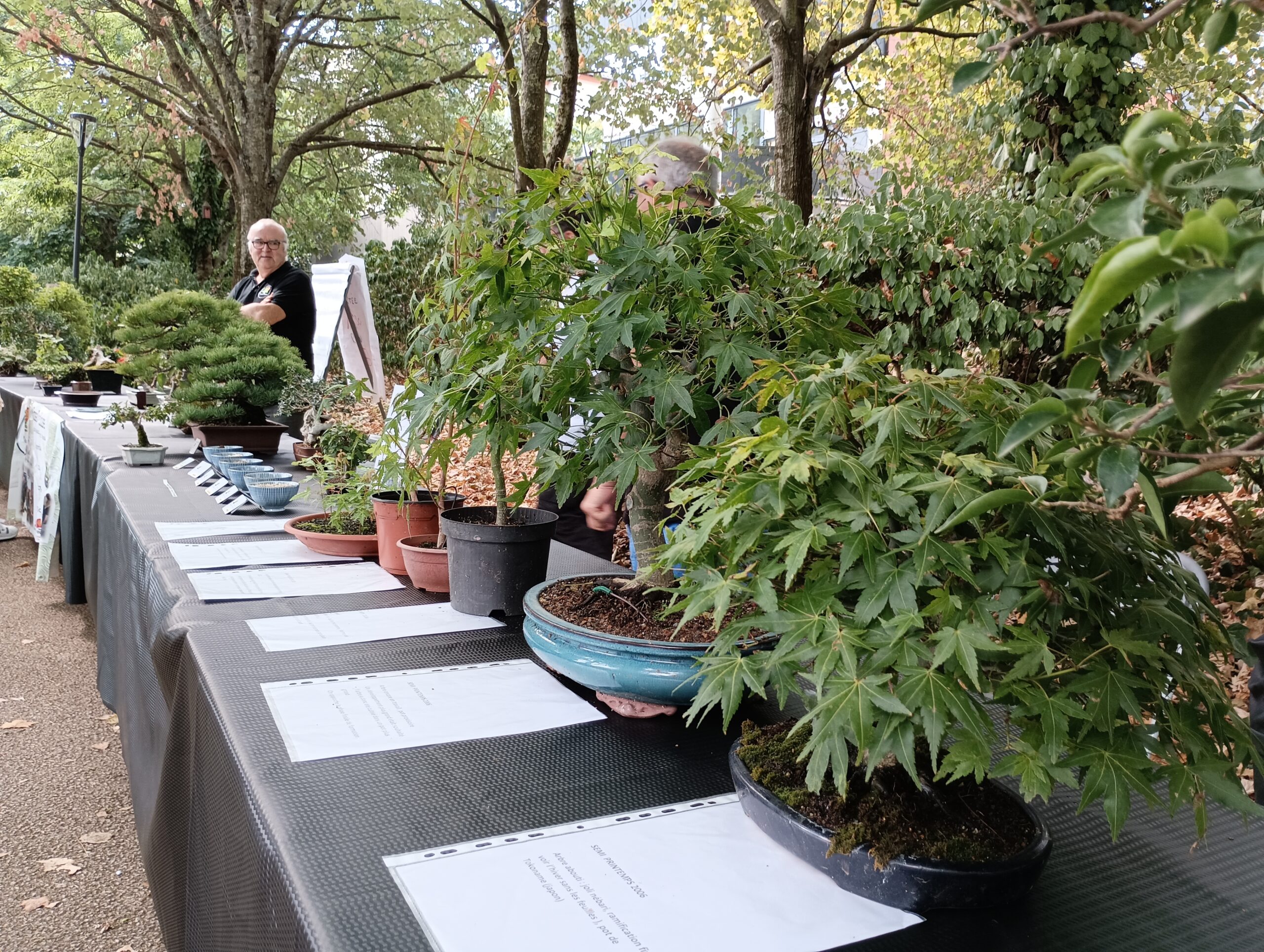 photo de L'ARBRE EN POT, BOUTIQUE ET CLINIQUE DE BONZAI, TOULOUSE,  HAUTE-GARONNE (31), FRANCE