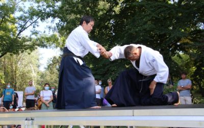 GOSHIN TAI JUTSU