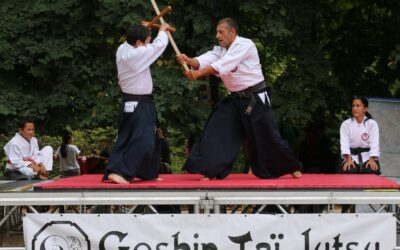 GOSHIN TAI JUTSU