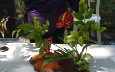 IKEBANA