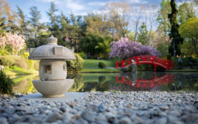 VISITE RACONTEE DU JARDIN JAPONAIS